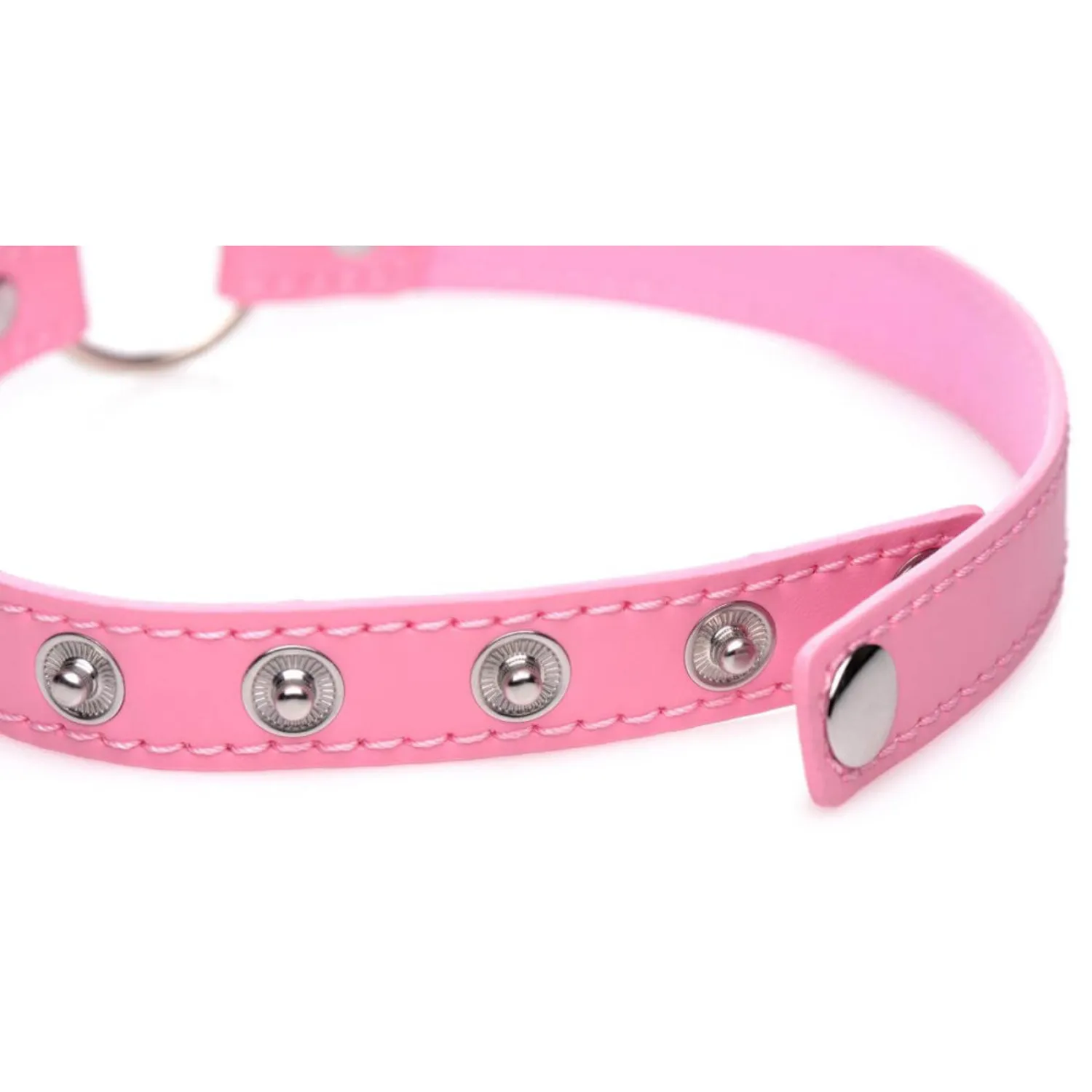 Master Series Kinky Kitty - mačja ogrlica s prstenom za glavu - Slika 2